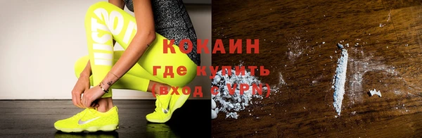 трава Бикин