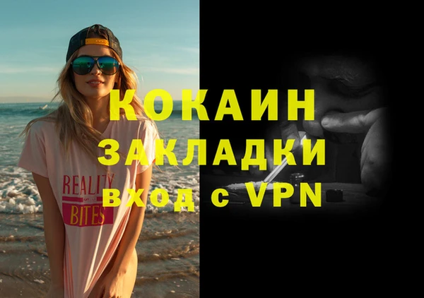 индика Горнозаводск