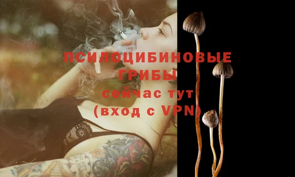 индика Горнозаводск
