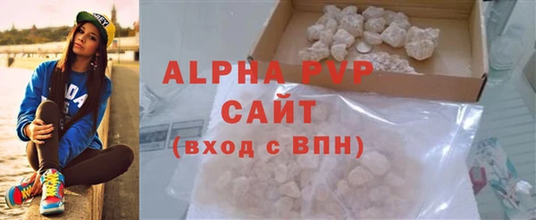 индика Горнозаводск