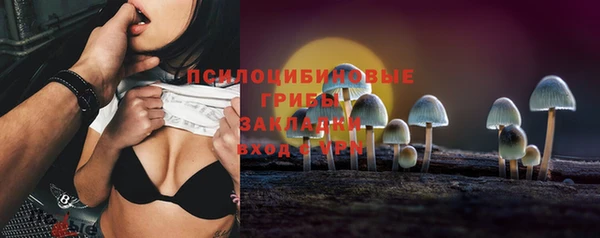 индика Горнозаводск