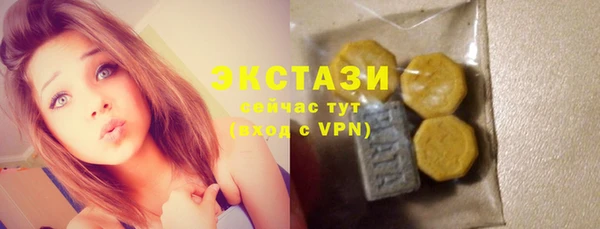 индика Горнозаводск
