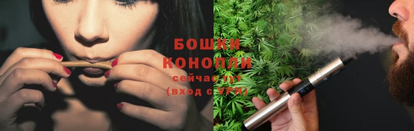 spice Горняк
