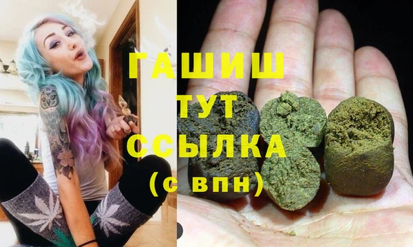 индика Горнозаводск