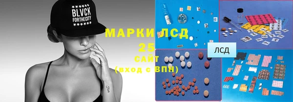 spice Горняк