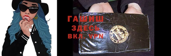 индика Горнозаводск