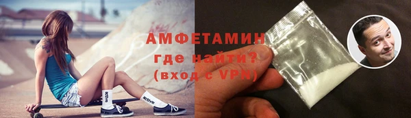 индика Горнозаводск