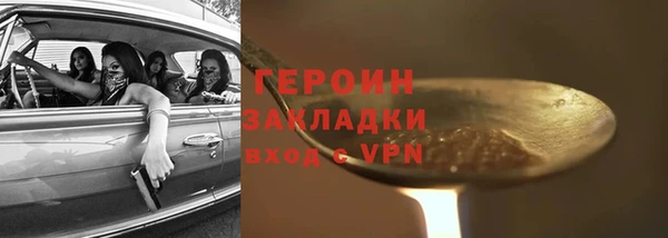 индика Горнозаводск