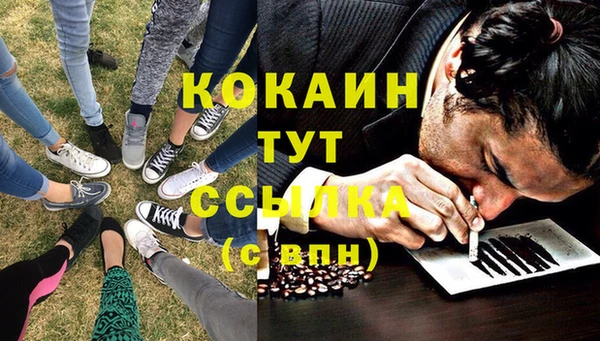 индика Горнозаводск