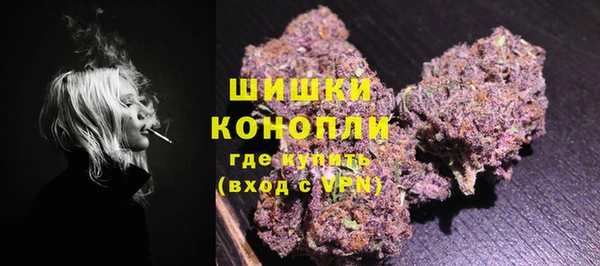 индика Горнозаводск