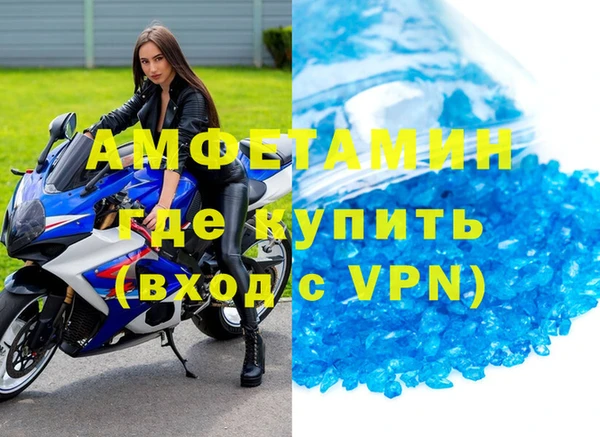 индика Горнозаводск