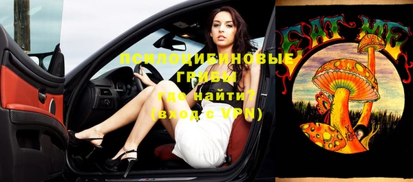 индика Горнозаводск