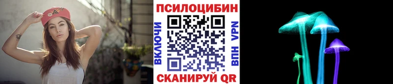 Псилоцибиновые грибы мицелий  купить наркотик  Ейск 