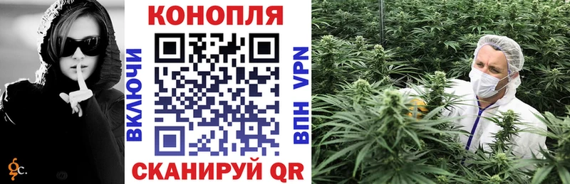 где купить   Ейск  дарк нет официальный сайт  Канабис ГИДРОПОН 